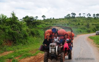 Myanmar Jungle Trekking - 5 Days