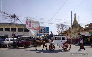 Hsipaw, Pyin Oo Lwin  Trekking - 5 Days