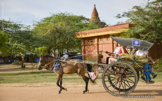 Bagan Escape - 4 Days