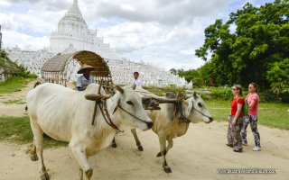 Essential Myanmar - 8 Days