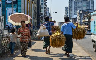 The Lost City of Mrauk U - 5 Days