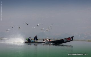 Myanmar Bird Watching Tour - 10 Days