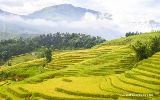 Myanmar & North Vietnam - 12 Days