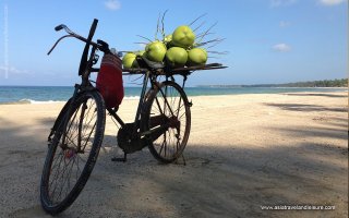 Ngwe Saung Beach Break - 4 Days