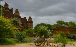 Myanmar Family Vacation - 9 Days